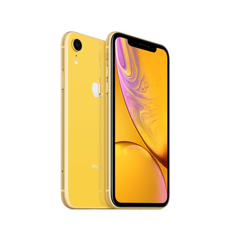 Muscle Love Crop Tank